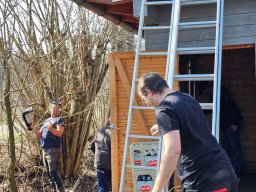 whatsapp image 2026-03-19 at 18.09.43